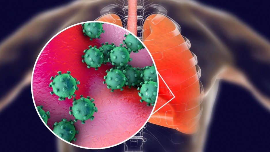 Chrona Virus web image